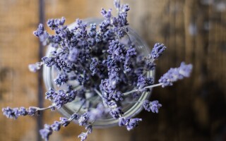 Natural ways to support recovery during and after stress